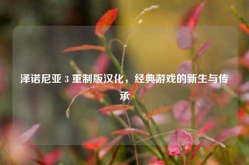 泽诺尼亚 3 重制版汉化，经典游戏的新生与传承