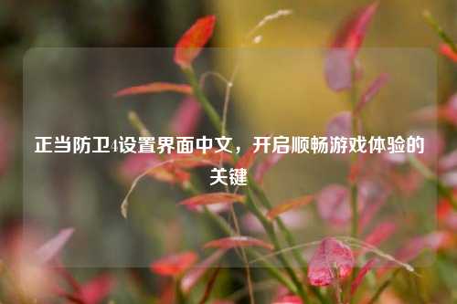 正当防卫4设置界面中文，开启顺畅游戏体验的关键