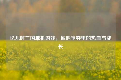 忆儿时三国单机游戏，城池争夺里的热血与成长