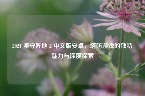 2021 坚守阵地 2 中文版安卓，塔防游戏的独特魅力与深度探索