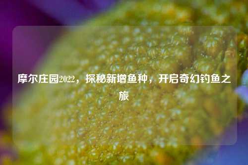 摩尔庄园2022，探秘新增鱼种，开启奇幻钓鱼之旅