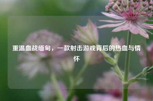 重温血战缅甸，一款射击游戏背后的热血与情怀