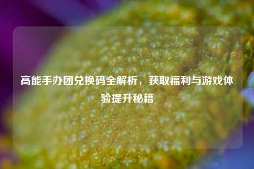 高能手办团兑换码全解析，获取福利与游戏体验提升秘籍
