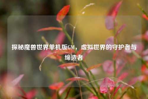 探秘魔兽世界单机版GM，虚拟世界的守护者与缔造者