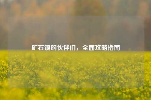 矿石镇的伙伴们，全面攻略指南