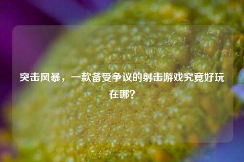 突击风暴，一款备受争议的射击游戏究竟好玩在哪？