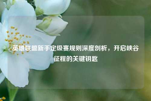 英雄联盟新手定级赛规则深度剖析，开启峡谷征程的关键钥匙