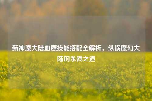 新神魔大陆血魔技能搭配全解析，纵横魔幻大陆的杀戮之道