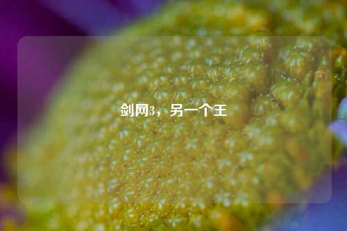 剑网3，另一个王