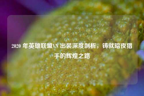 2020 年英雄联盟VN 出装深度剖析，铸就暗夜猎手的辉煌之路