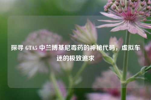探寻 GTA5 中兰博基尼毒药的神秘代码，虚拟车迷的极致追求