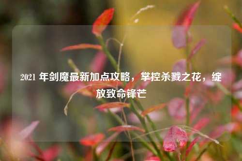 2021 年剑魔最新加点攻略，掌控杀戮之花，绽放致命锋芒