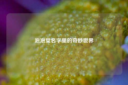 泡泡堂名字里的奇妙世界