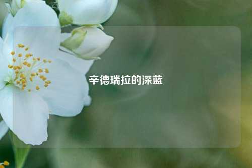 辛德瑞拉的深蓝