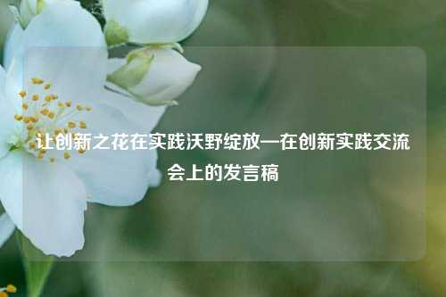 让创新之花在实践沃野绽放—在创新实践交流会上的发言稿