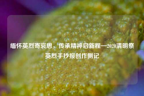 缅怀英烈寄哀思，传承精神启新程—2020清明祭英烈手抄报创作侧记