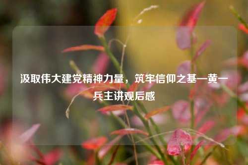 汲取伟大建党精神力量，筑牢信仰之基—黄一兵主讲观后感