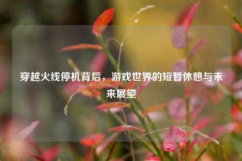 穿越火线停机背后，游戏世界的短暂休憩与未来展望