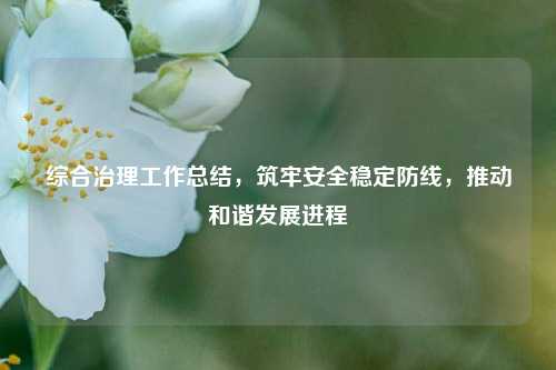综合治理工作总结，筑牢安全稳定防线，推动和谐发展进程