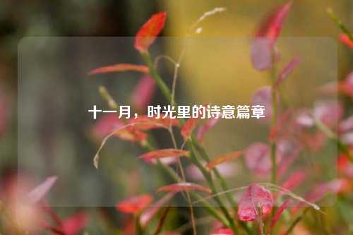 十一月，时光里的诗意篇章