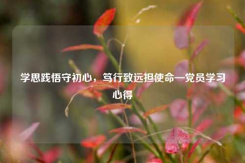 学思践悟守初心，笃行致远担使命—党员学习心得