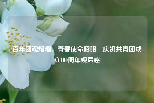百年团魂熠熠，青春使命昭昭—庆祝共青团成立100周年观后感