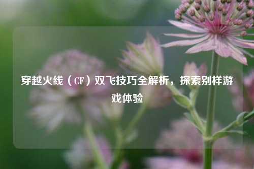 穿越火线（CF）双飞技巧全解析，探索别样游戏体验