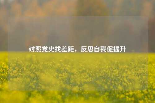 对照党史找差距，反思自我促提升