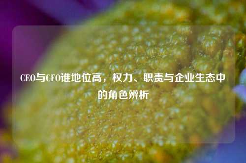 CEO与CFO谁地位高，权力、职责与企业生态中的角色辨析