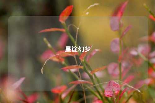 星途幻梦