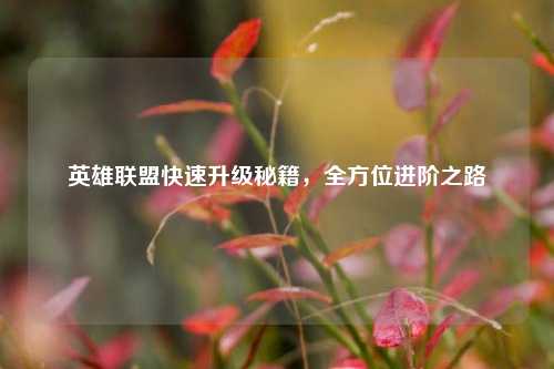 英雄联盟快速升级秘籍，全方位进阶之路