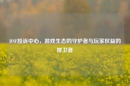 DNF投诉中心，游戏生态的守护者与玩家权益的捍卫者