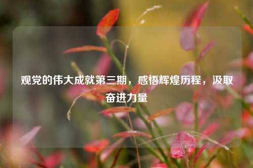 观党的伟大成就第三期，感悟辉煌历程，汲取奋进力量