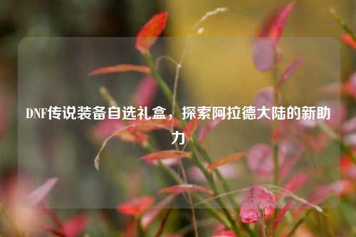 DNF传说装备自选礼盒，探索阿拉德大陆的新助力