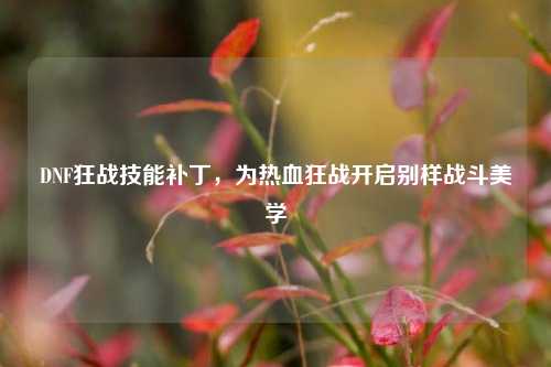 DNF狂战技能补丁，为热血狂战开启别样战斗美学