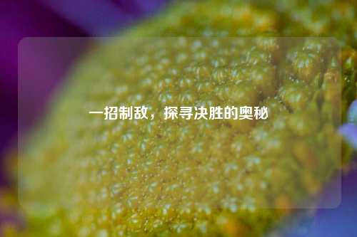 一招制敌，探寻决胜的奥秘
