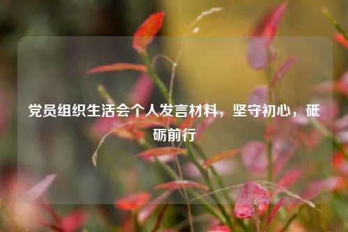 党员组织生活会个人发言材料，坚守初心，砥砺前行