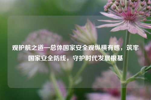 观护航之道—总体国家安全观纵横有感，筑牢国家安全防线，守护时代发展根基