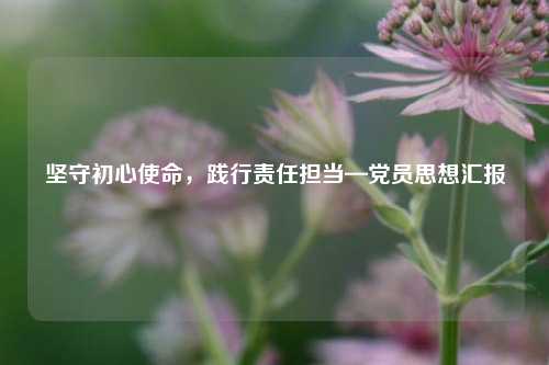 坚守初心使命，践行责任担当—党员思想汇报