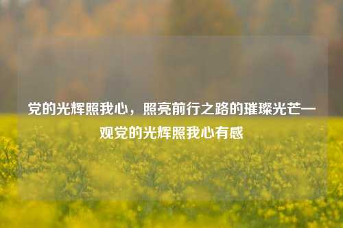 党的光辉照我心，照亮前行之路的璀璨光芒—观党的光辉照我心有感