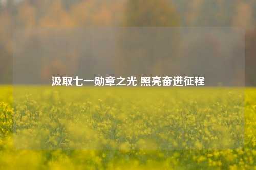 汲取七一勋章之光 照亮奋进征程