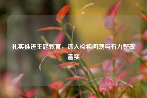 扎实推进主题教育，深入检视问题与有力整改落实