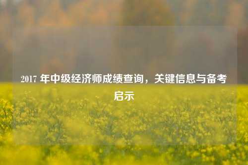2017 年中级经济师成绩查询，关键信息与备考启示