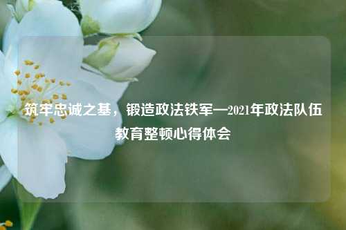 筑牢忠诚之基，锻造政法铁军—2021年政法队伍教育整顿心得体会