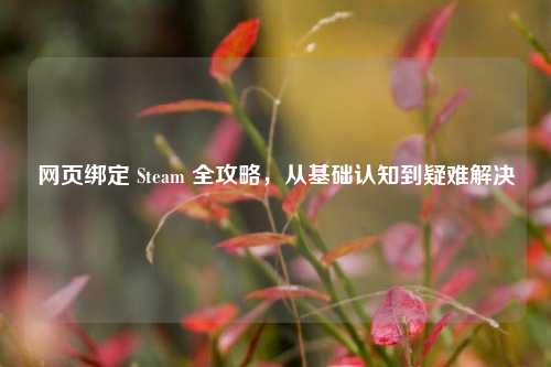 网页绑定 Steam 全攻略，从基础认知到疑难解决
