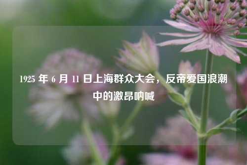 1925 年 6 月 11 日上海群众大会，反帝爱国浪潮中的激昂呐喊