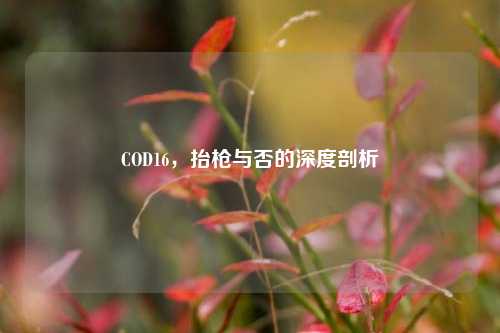 COD16，抬枪与否的深度剖析