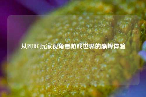 从PUBG玩家视角看游戏世界的巅峰体验