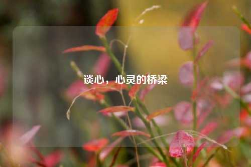 谈心，心灵的桥梁