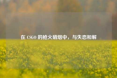 在 CSGO 的枪火硝烟中，与失恋和解
